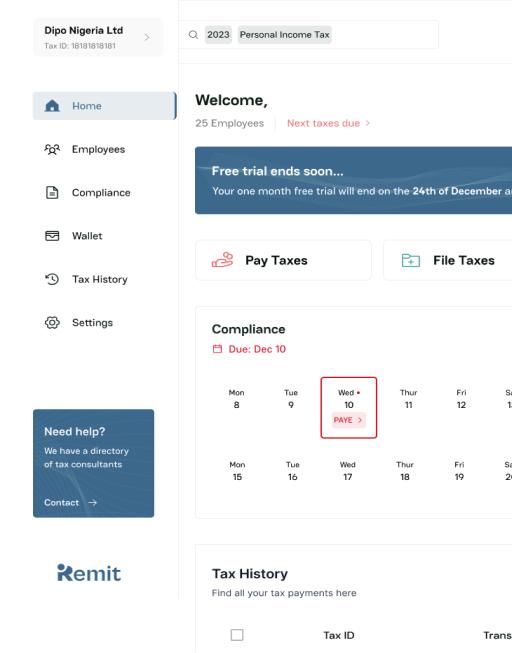 Remit mockup